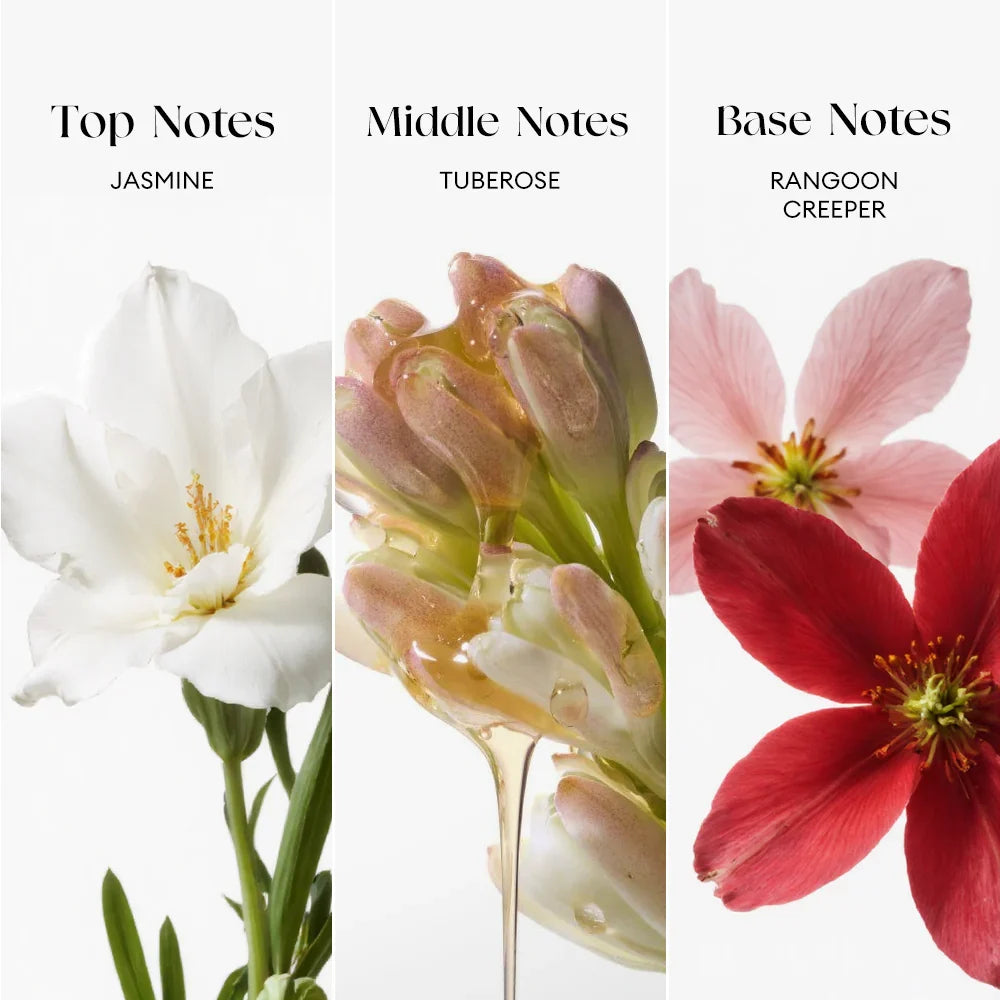 Bloom Secrets