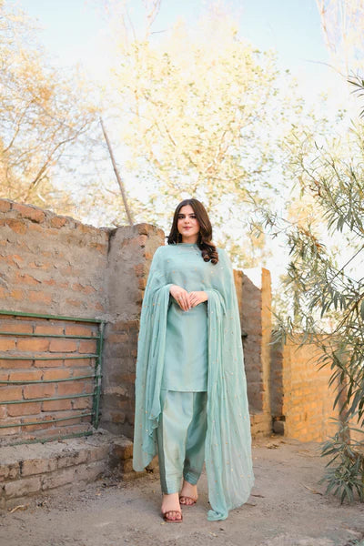 ATM26276 | Pakistani Designer's Drizzle Farshi Shalwar Suit
