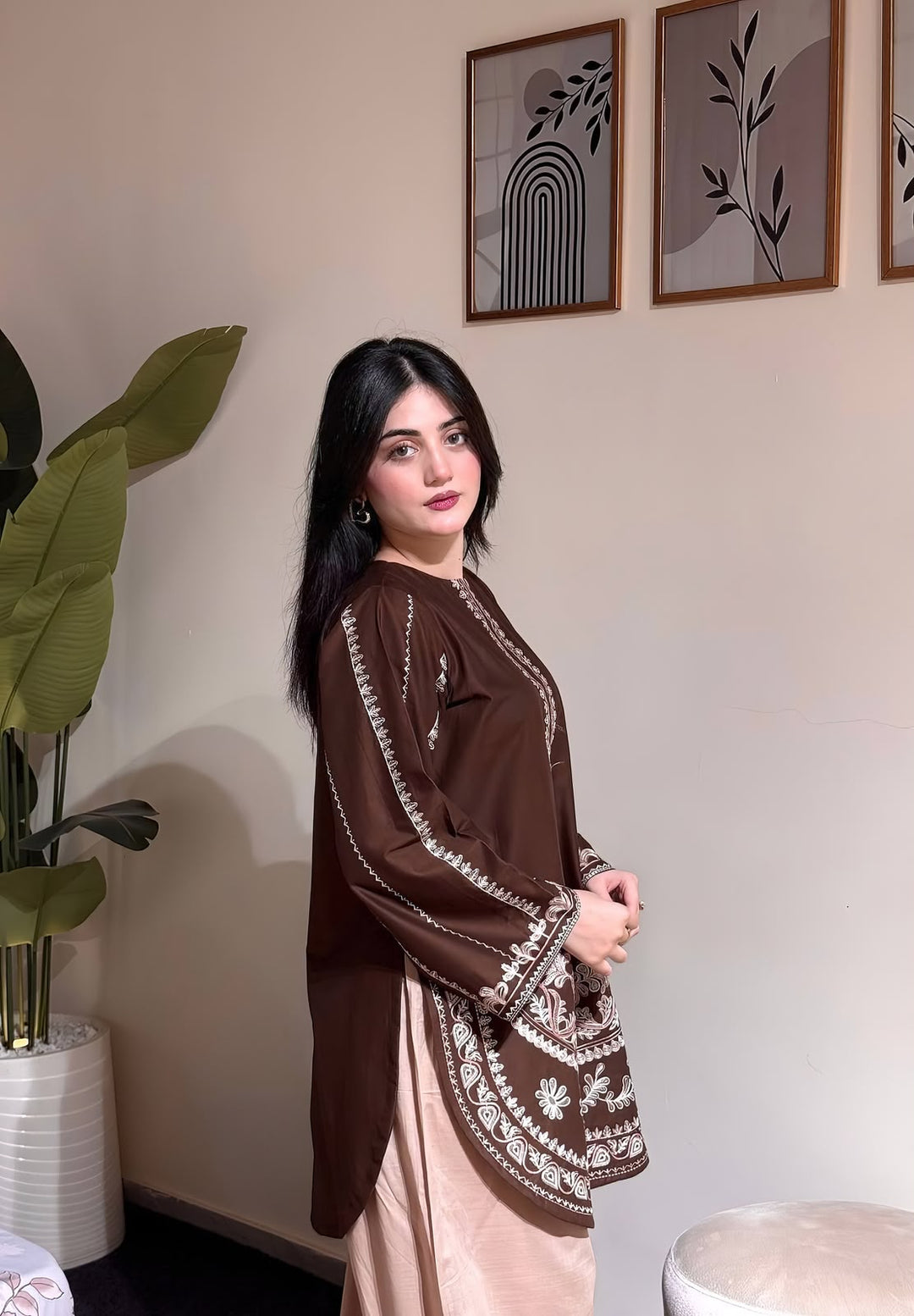 Dhanak 2 Piece Multihead Embroidered Suit Brown - view 4