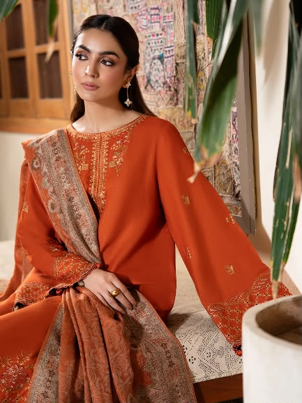Rust Dhanak 3 Piece Chikankari Boring Embroidered Suit with Printed Paisley Woollen Shawl - view 3